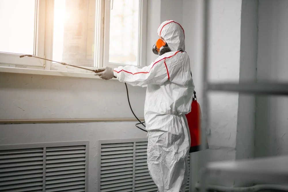 Professional mold remediation services in Waverly, MO